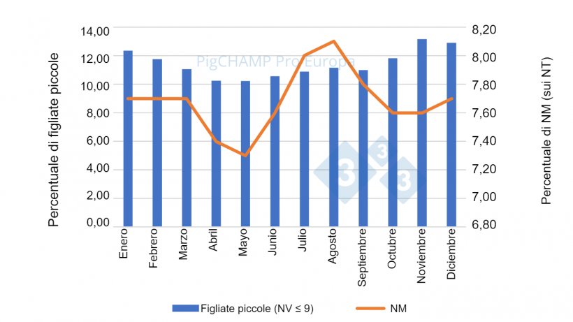 Grafico 3. Distribuzione percentuale di suinetti NM e piccole figliate (NV≤9 suinetti), 2018-2019.