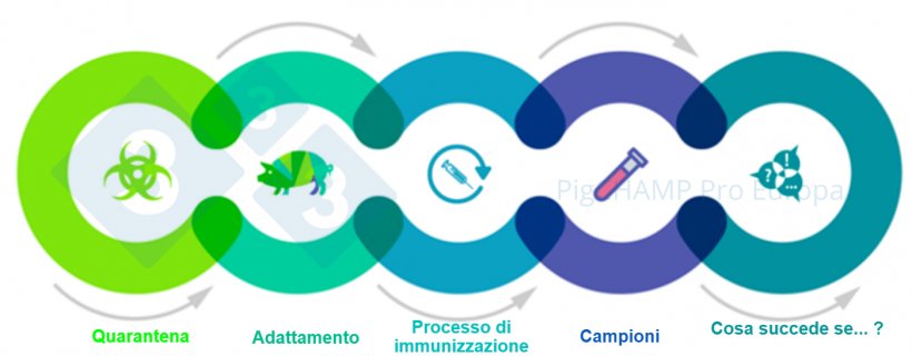 Figura 1. Aspetti chiave interconnessi che dovrebbero essere conosciuti prima della visita.