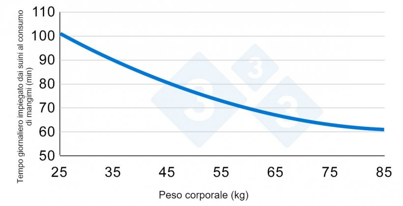 Grafico 2. Variazione del tempo dedicato al consumo di mangimi durante la fase di accrescimento. Adattato da Hyun et al., 1997.